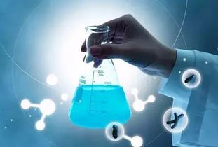 柳橙网最新留学动态 一网打尽留学就业、流程与资讯（123页全解析）